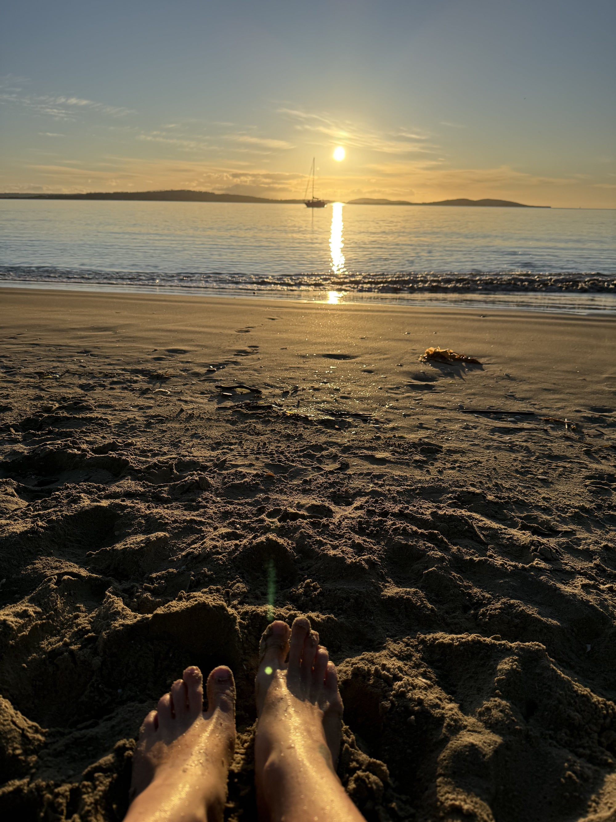 The Missing Piece: Why Nature is Essential For Your Health